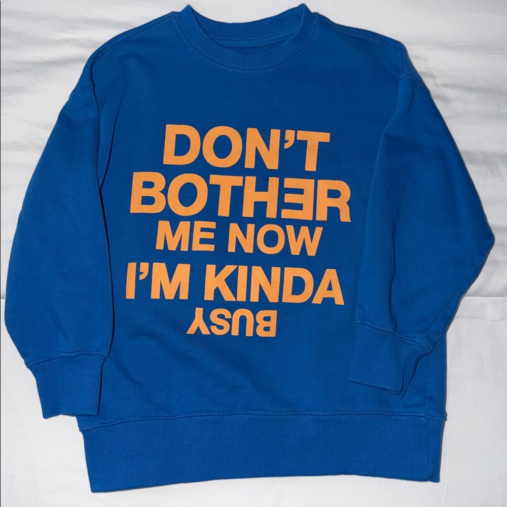 Kids Zara Sweatshirt